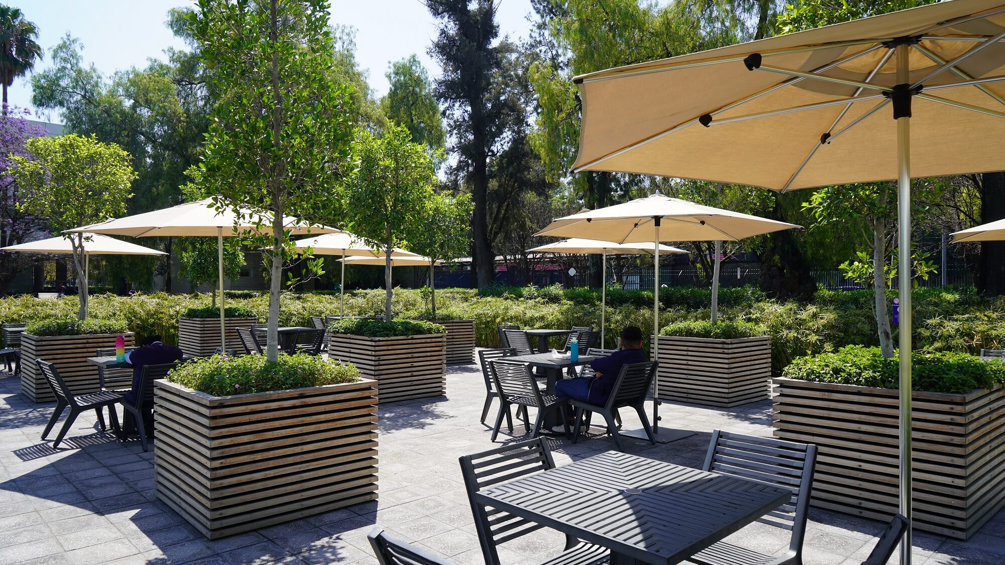 imagen galeria areas comunes